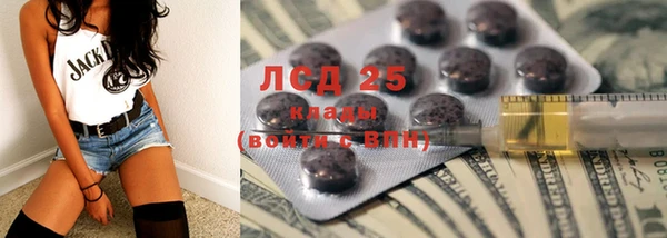 ПСИЛОЦИБИНОВЫЕ ГРИБЫ Горно-Алтайск