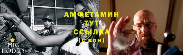 ПСИЛОЦИБИНОВЫЕ ГРИБЫ Горно-Алтайск
