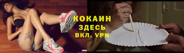 ПСИЛОЦИБИНОВЫЕ ГРИБЫ Горно-Алтайск