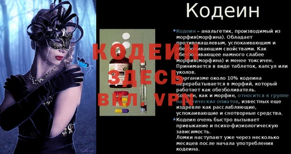 ПСИЛОЦИБИНОВЫЕ ГРИБЫ Горно-Алтайск