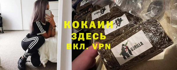 ПСИЛОЦИБИНОВЫЕ ГРИБЫ Горно-Алтайск