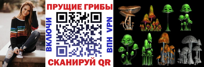 Псилоцибиновые грибы ЛСД  Сыктывкар 
